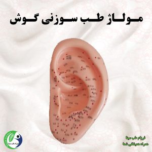 انواع مولاژ طب سوزنی